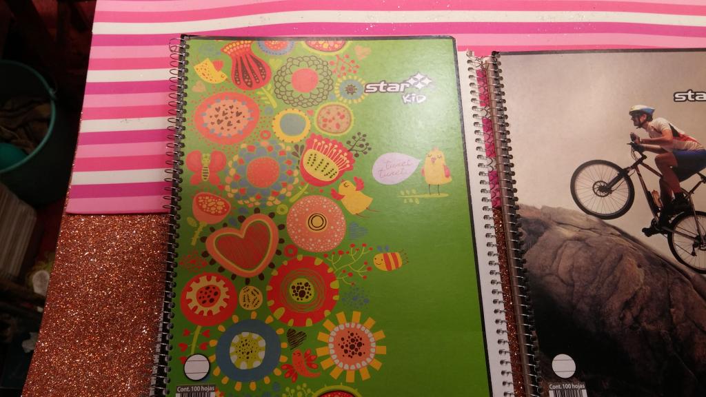 CAJA 36 CUADERNO PROFESIONAL DE ESPIRAL 100 HOJAS MARCA ESTRELLA.