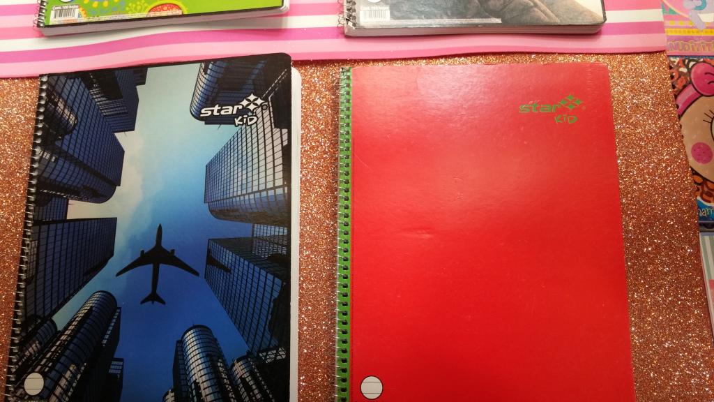 CAJA 36 CUADERNO PROFESIONAL DE ESPIRAL 100 HOJAS MARCA ESTRELLA.