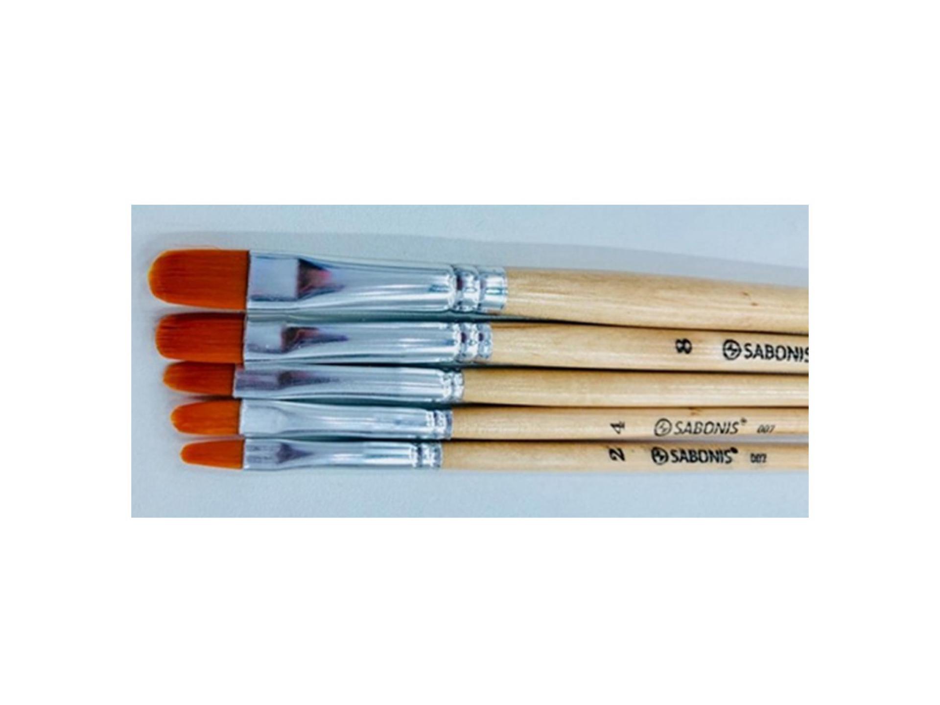 007-4 CAJA CON 12 PINCEL LENGUA DE GATO #4.