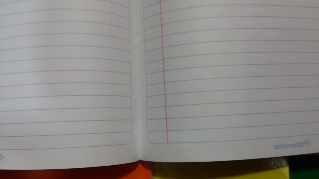 CAJA 40 CUADERNO PROFESIONAL COSIDO 100 HOJAS PASTA SEMI DURA MARCA ESTRELLA.