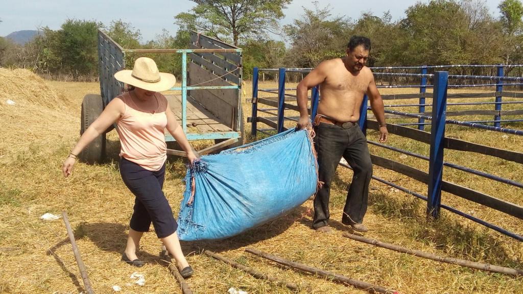 IND0023JUEGO12PLUMIN ESCOLAR IND0023 30003 $28. 00