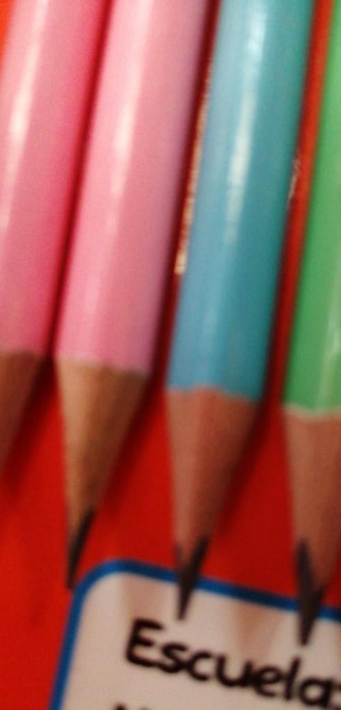 CAJA 8 LAPIZ PASTEL SHELY