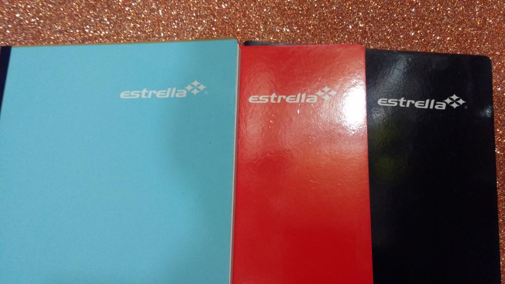 CAJA 40 CUADERNO PROFESIONAL COSIDO 100 HOJAS PASTA SEMI DURA MARCA ESTRELLA.